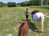 cheval-clo-libes-654
