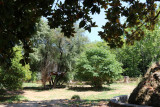 img-4479-409