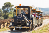 petit-train-des-vignes-hemart-mehdi-582