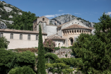 st-guilhem-le-d-sert-olivier-octobre-596