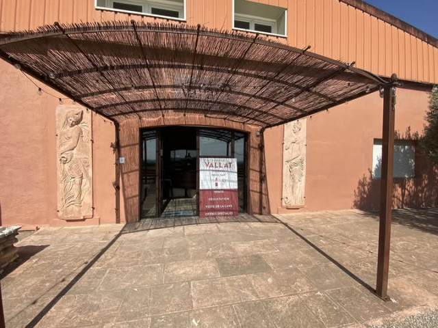 caveau-vignoble-vallat-598