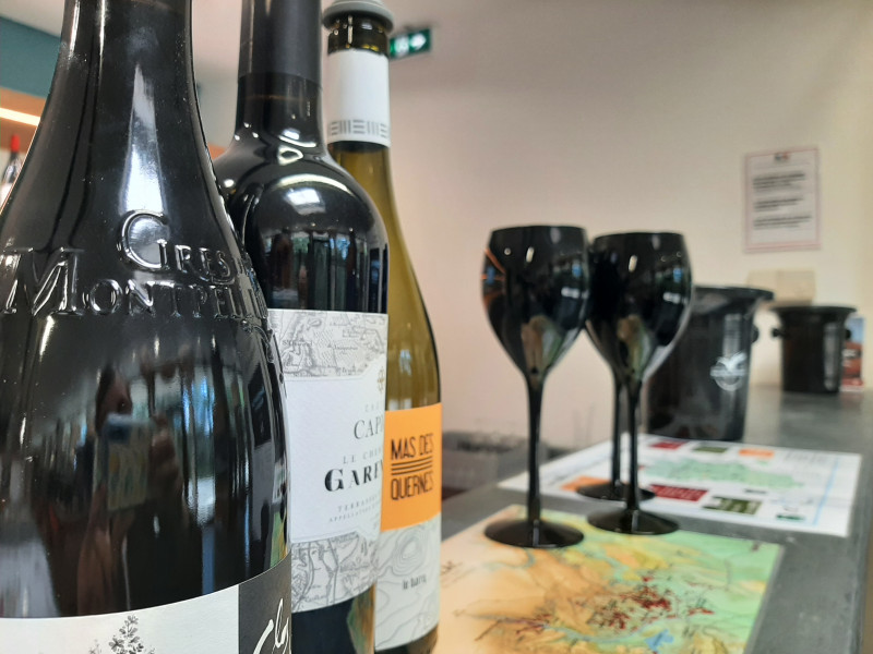degustation-a-l-aveugle-2-clo-libes-656